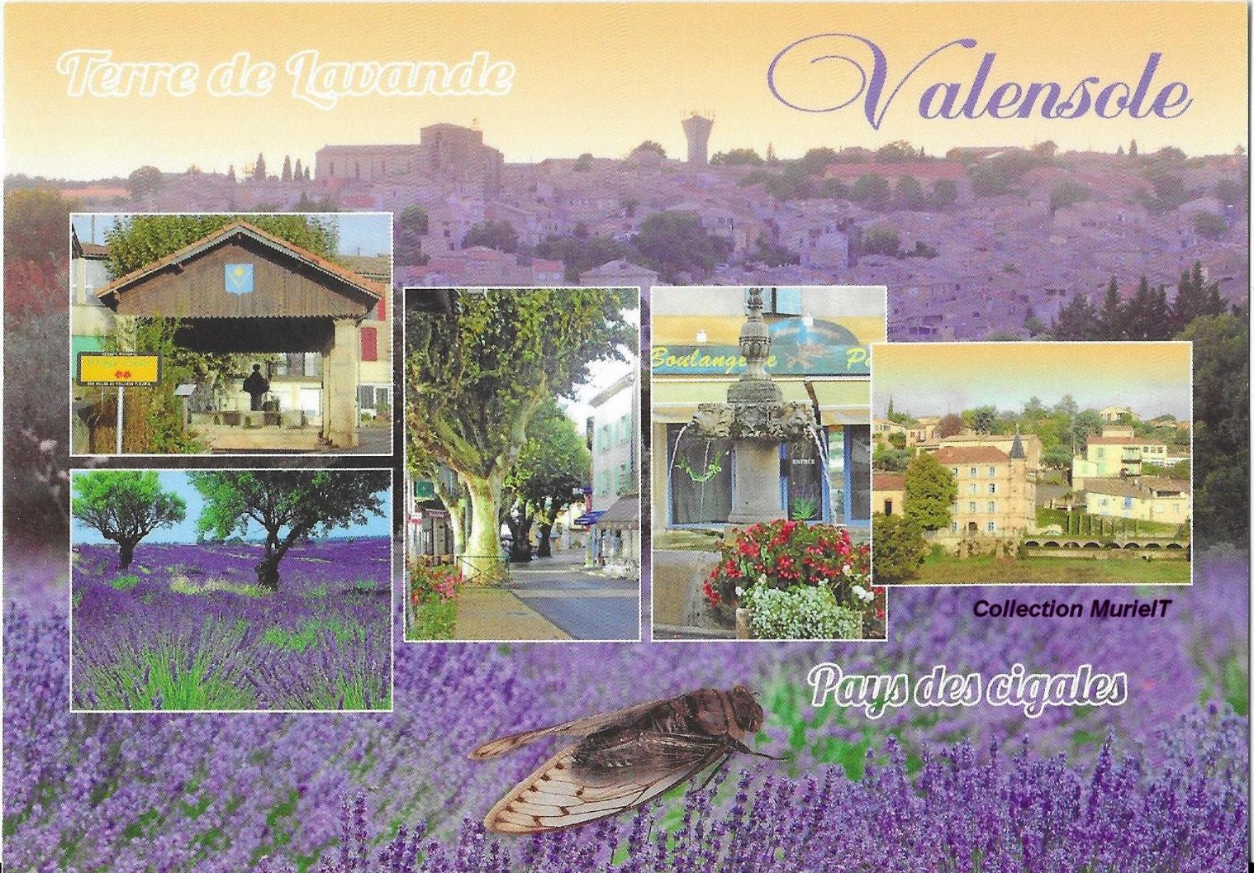 Gites Lou Limbert Valensole Extérieur photo